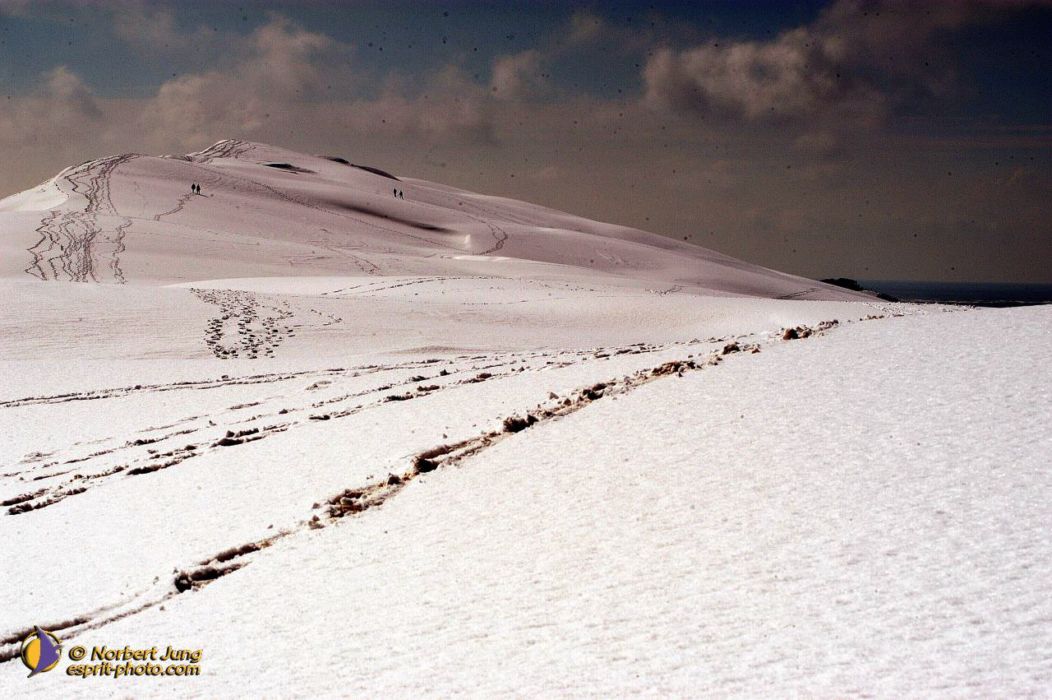 Nom de l'image : D1112181-nef-01_(c)Norbert-JUNG — Description :